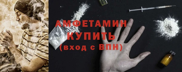 прущий лед Бородино
