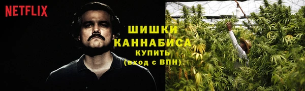 ALPHA PVP Богородицк