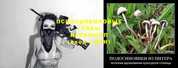 спиды Богданович
