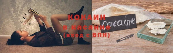 спиды Богданович