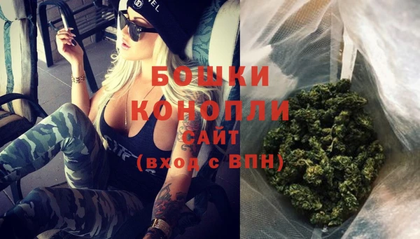 спиды Богданович