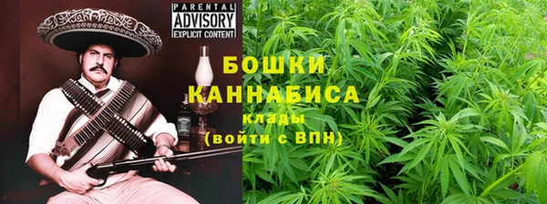 гашик Бронницы