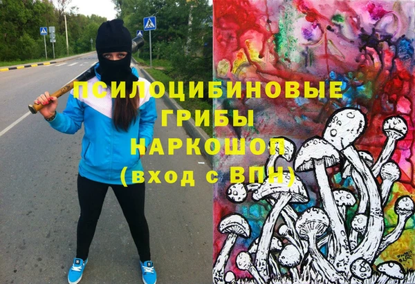 спиды Богданович