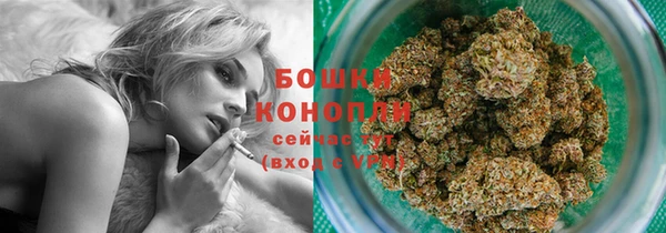 ALPHA PVP Богородицк
