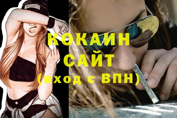 гашик Бронницы